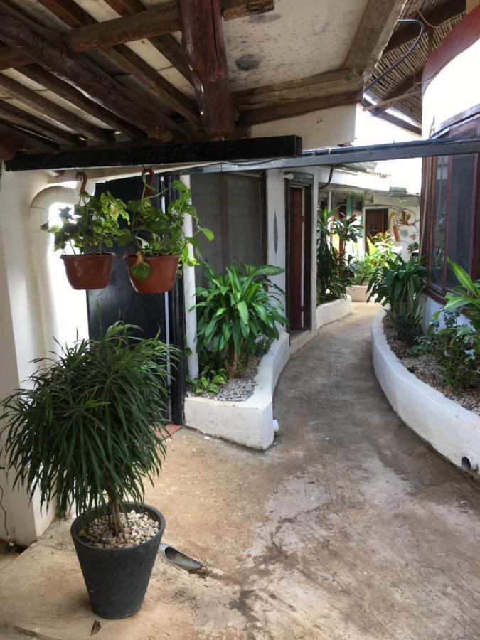 Pura Vida Hostel Tamarindo Luaran gambar