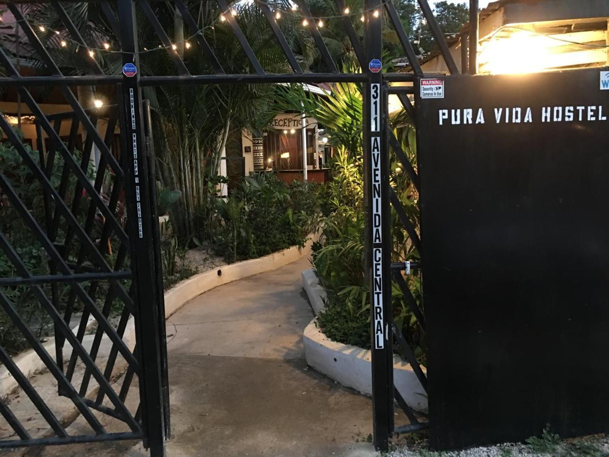 Pura Vida Hostel Tamarindo Luaran gambar