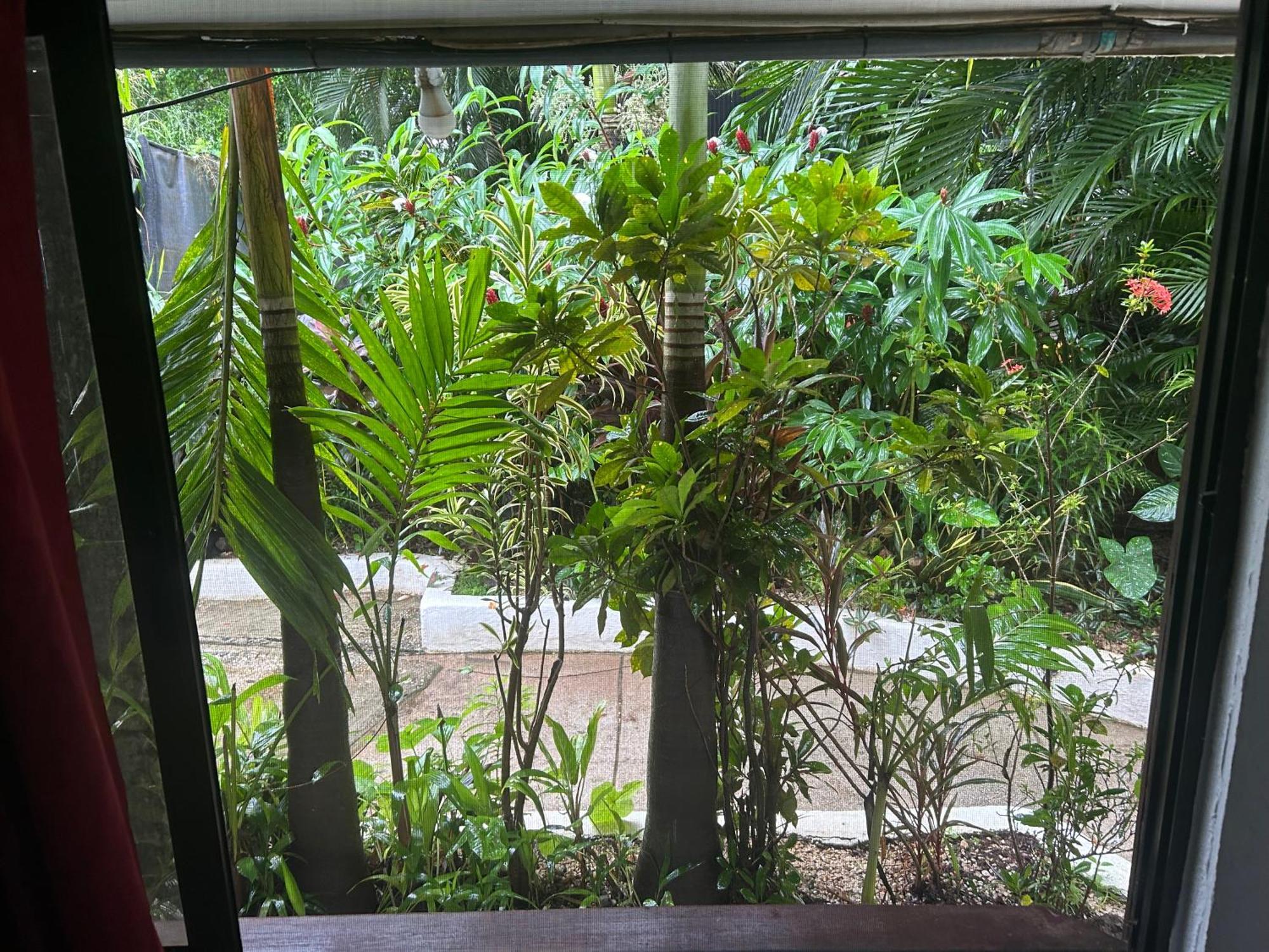 Pura Vida Hostel Tamarindo Luaran gambar