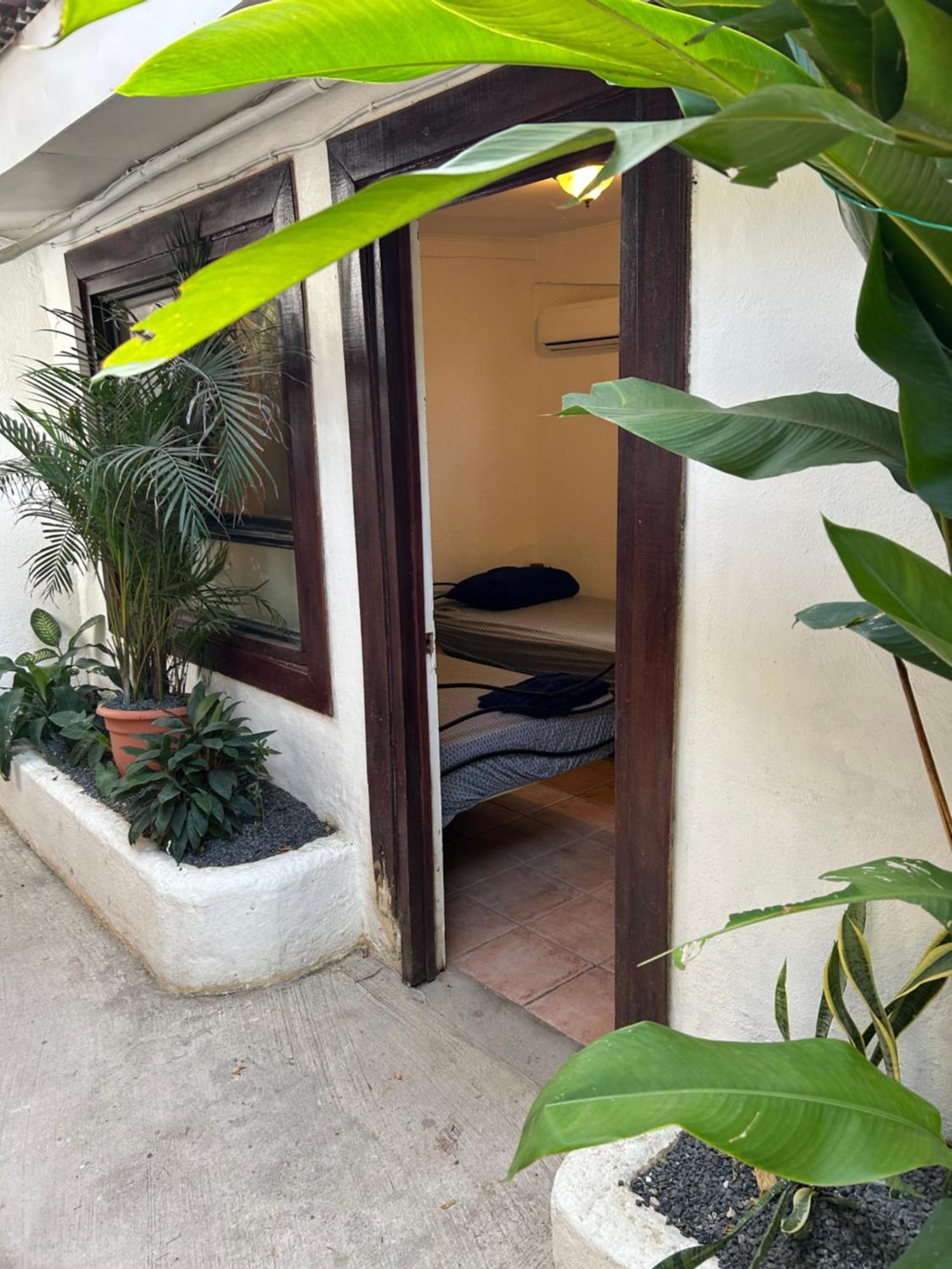 Pura Vida Hostel Tamarindo Luaran gambar