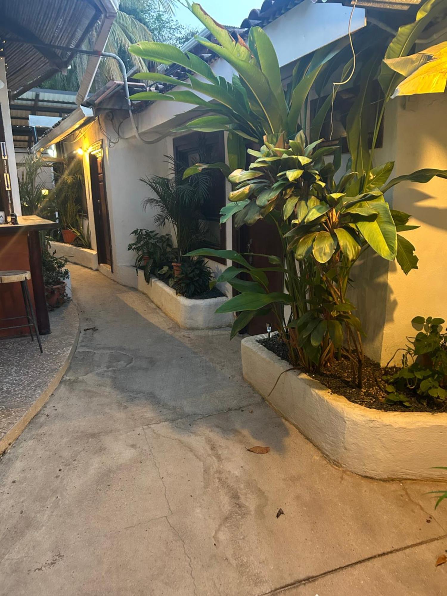Pura Vida Hostel Tamarindo Luaran gambar