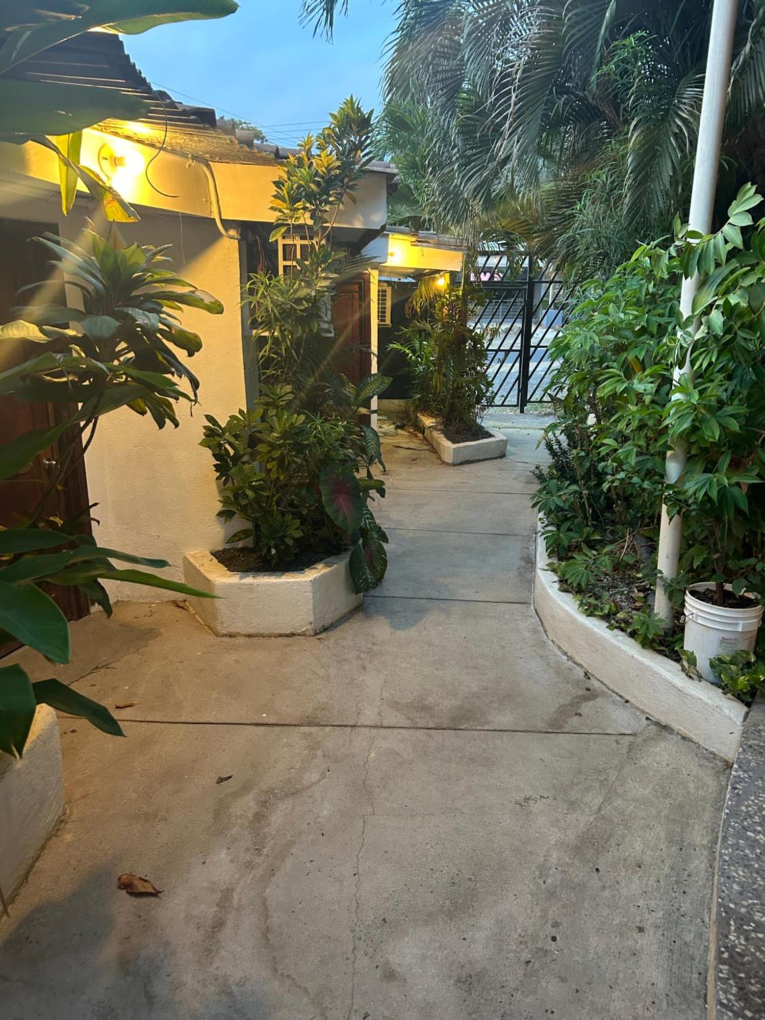 Pura Vida Hostel Tamarindo Luaran gambar
