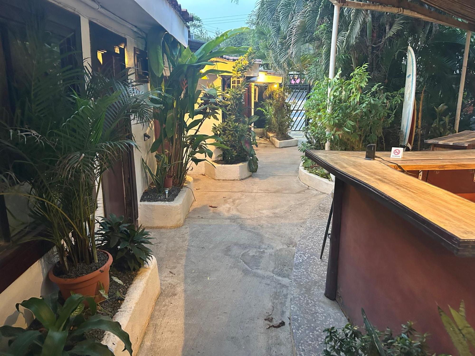 Pura Vida Hostel Tamarindo Luaran gambar