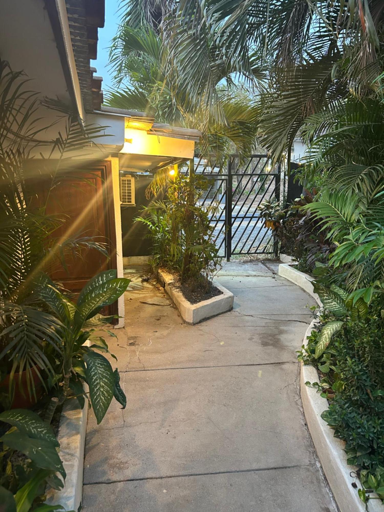 Pura Vida Hostel Tamarindo Luaran gambar
